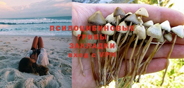 кокс Ладушкин