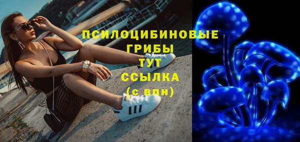 стаф Лагань