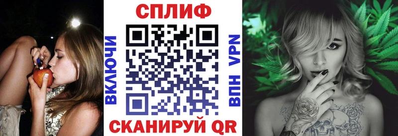 Купить где  Хотьково  Марихуана сатива 